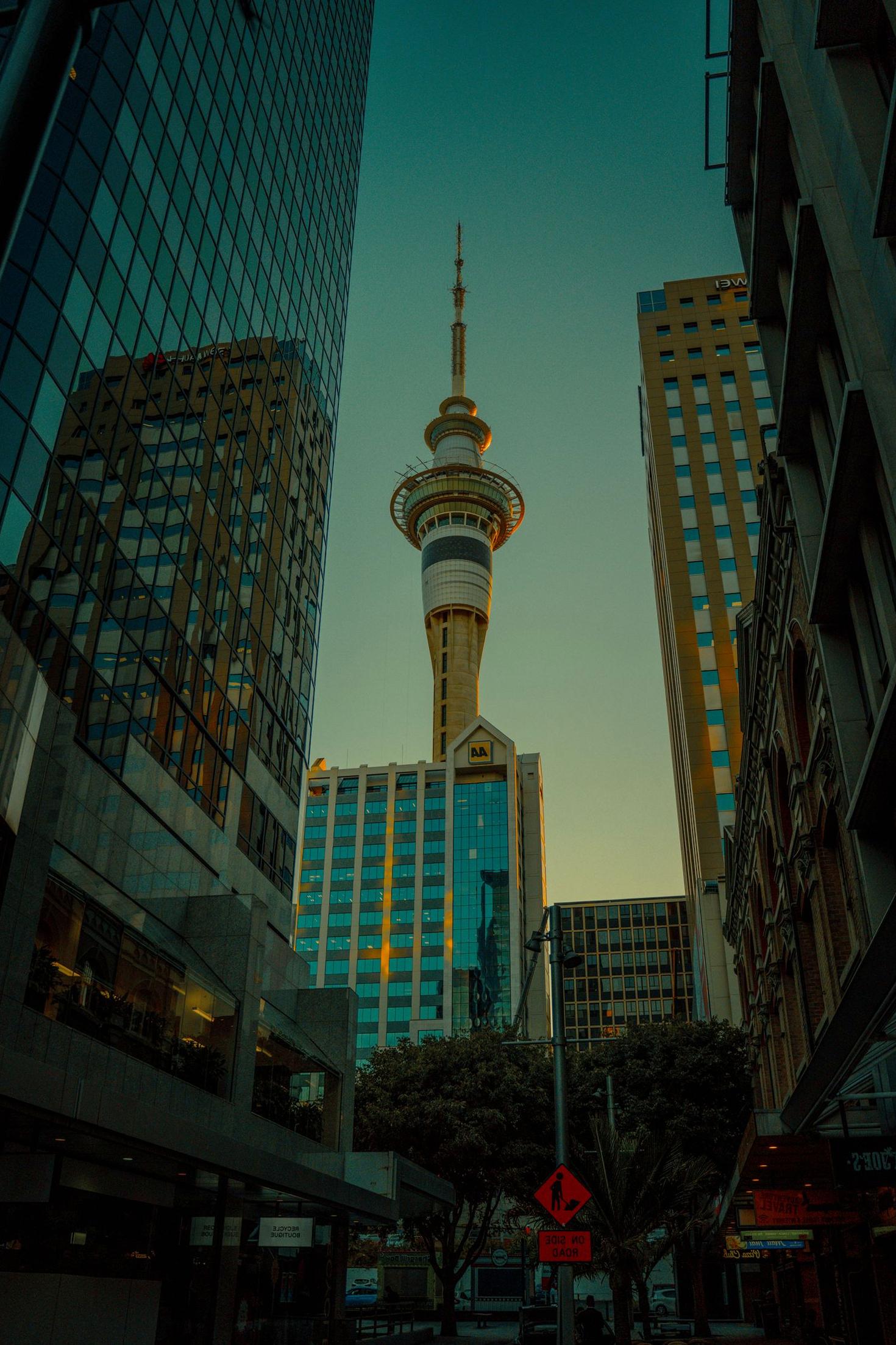 Auckland Skyline